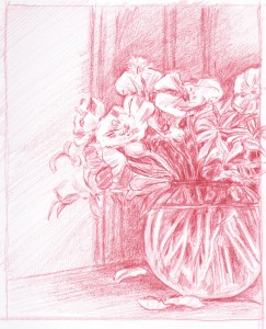 Poppies   