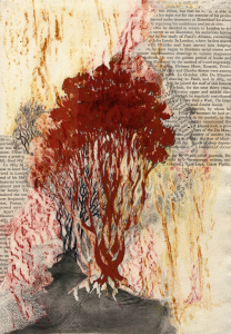 Tree Collage-Raphaela-Mazzone   