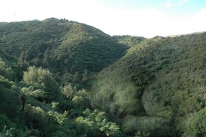 baby-valley 