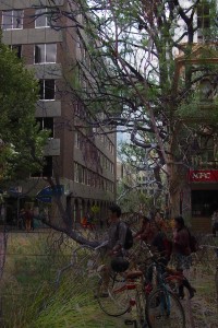 city2-bush-b3small  
