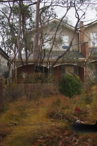 house-bush-c1small  