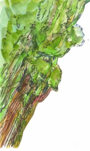 recolour-rotate15 