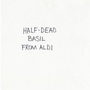 text3     